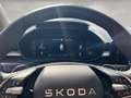 Skoda Fabia 1.0 TSI DSG Tour +ACC+AHK+RFK+NAVI Silber - thumbnail 16