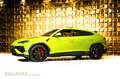 Lamborghini Urus PERFORMANTE + CARBON + B&O + STOCK + Verde - thumbnail 5