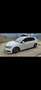 Volkswagen Golf 5p 1.6 tdi r line 4x4 110cv - thumbnail 1