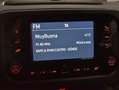 Fiat Panda 1.0 Hybrid 70CV Classic Rojo - thumbnail 10