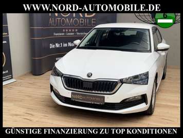 Ambition 1.0 TSI DSG Kamera/Navi/Virt.Cock Drive