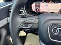 Audi A4 allroad 40 TDI 204 CV S TRONIC BUSINESS EVOLUT *UNIPROP* Grigio - thumbnail 29