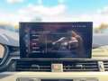 Audi A4 allroad 40 TDI 204 CV S TRONIC BUSINESS EVOLUT *UNIPROP* Grigio - thumbnail 39