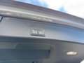 Audi A4 allroad 40 TDI 204 CV S TRONIC BUSINESS EVOLUT *UNIPROP* Grigio - thumbnail 25