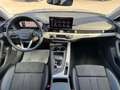 Audi A4 allroad 40 TDI 204 CV S TRONIC BUSINESS EVOLUT *UNIPROP* Grigio - thumbnail 9