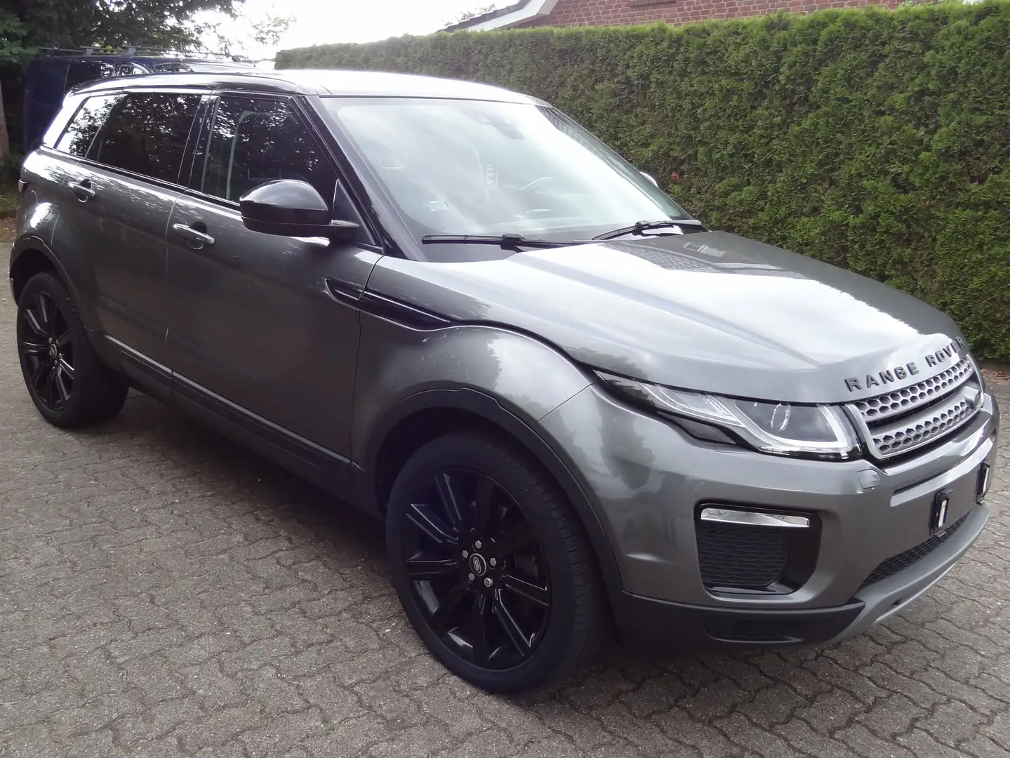 Land Rover Range Rover Evoque 4WD Leder Navi LED Glasdach Grau - 1