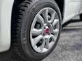 Fiat Panda Panda 0.9 Twinair Lounge Erdgas Klima Weiß - thumbnail 12