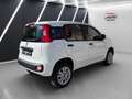 Fiat Panda Panda 0.9 Twinair Lounge Erdgas Klima Weiß - thumbnail 6