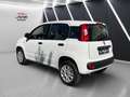 Fiat Panda Panda 0.9 Twinair Lounge Erdgas Klima Weiß - thumbnail 5