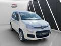 Fiat Panda Panda 0.9 Twinair Lounge Erdgas Klima Weiß - thumbnail 3