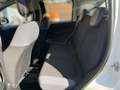 Fiat Panda Panda 0.9 Twinair Lounge Erdgas Klima Weiß - thumbnail 14