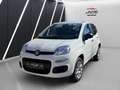 Fiat Panda Panda 0.9 Twinair Lounge Erdgas Klima Weiß - thumbnail 1