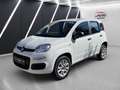 Fiat Panda Panda 0.9 Twinair Lounge Erdgas Klima Weiß - thumbnail 2