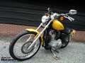 Harley-Davidson Sportster XL 883 883C Custom Gelb - thumbnail 7