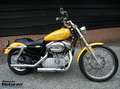 Harley-Davidson Sportster XL 883 883C Custom Gelb - thumbnail 1
