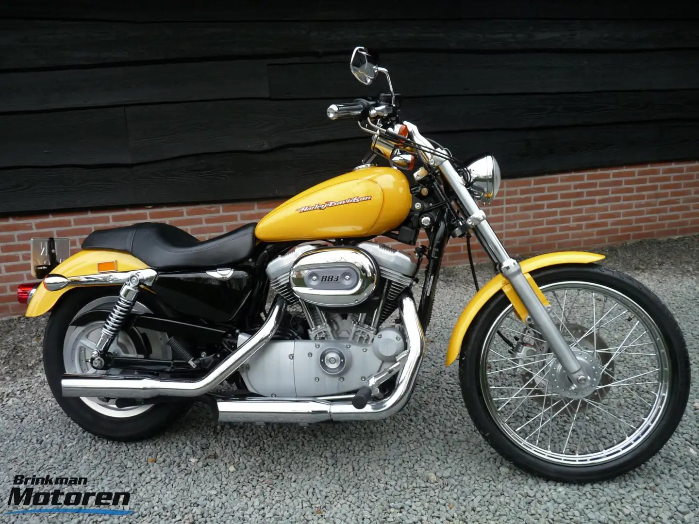 Harley-Davidson Sportster XL 883 883C Custom Gelb - 1