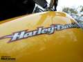 Harley-Davidson Sportster XL 883 883C Custom Gelb - thumbnail 24