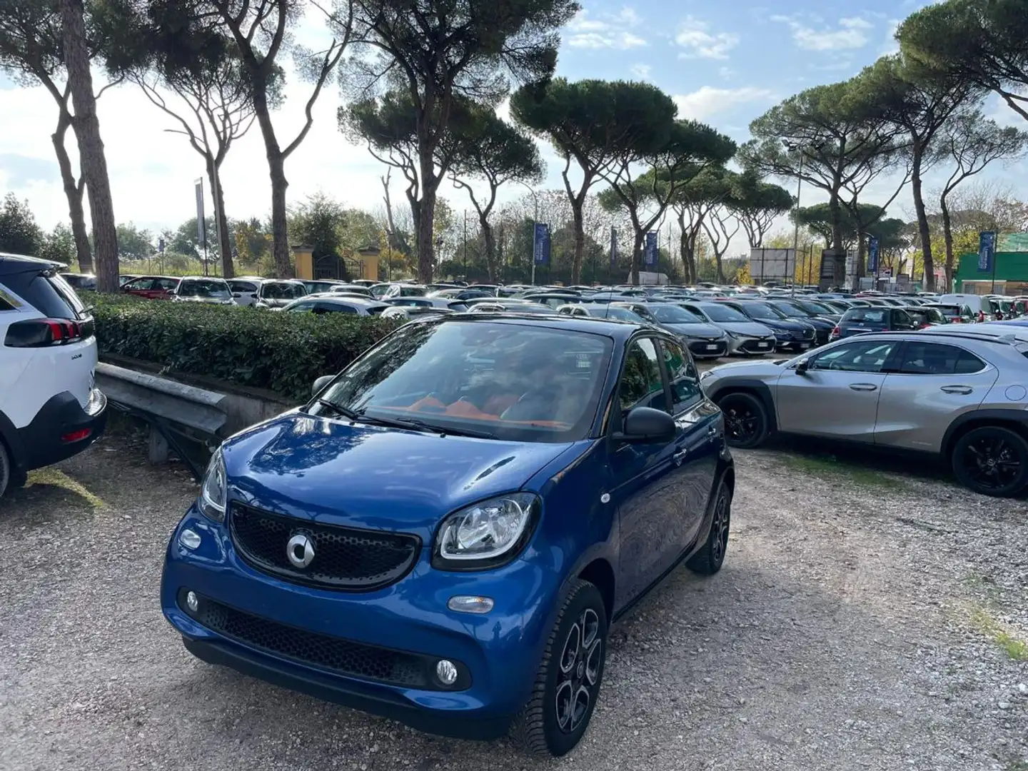 smart forFour 1.0cc PASSION 71cv TETTO PANORAM SENS PARK Blu/Azzurro - 1