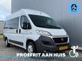 Fiat Ducato Rolstoelbus L2H2 (Airco) Tillift Blanc - thumbnail 1