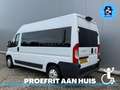 Fiat Ducato Rolstoelbus L2H2 (Airco) Tillift Blanc - thumbnail 12