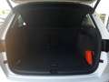 SEAT Ateca FR-LINE 2,0 TDI DSG Weiß - thumbnail 15