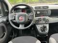 Fiat Panda 1.0 FireFly S&S Hybrid Red Bronze - thumbnail 8