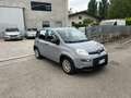 Fiat Panda 1.0 FireFly S&S Hybrid Red Bronze - thumbnail 1