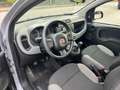 Fiat Panda 1.0 FireFly S&S Hybrid Red Bronze - thumbnail 11