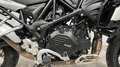 Benelli TRK 502 X 2021 - KM. 25000 + BAULETTO Bianco - thumbnail 4