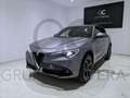 Alfa Romeo Stelvio 2.2 Executive Q4 210 Aut. Gris - thumbnail 7