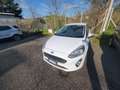 Ford Fiesta 3p 1.5 tdci Plus 85cv Van + Iva bijela - thumbnail 7