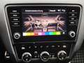 Skoda Octavia Combi RS 245 2.0 TSI Alu 18" ACC Navigation SHZG Grau - thumbnail 27