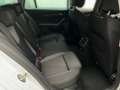 Skoda Octavia Combi AMBITION 2.0TDI 150PS DSG 4x4 AHK.GRA.2xPDC. Blanc - thumbnail 10