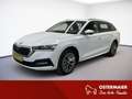 Skoda Octavia Combi AMBITION 2.0TDI 150PS DSG 4x4 AHK.GRA.2xPDC. Blanc - thumbnail 1