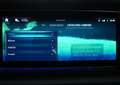 Mercedes-Benz G 450 G450d MASSAGE GLASDACH DIST 360° BURM STANDH AHK Grün - thumbnail 26