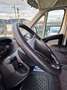 Peugeot Boxer 2.0 Hdi 335 Cab(KM110000-GARANTITA-IVA INCL) Wit - thumbnail 17