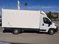 Peugeot Boxer 335 L3 BHDI 121kW (165CV) S&S - Blanco - thumbnail 8