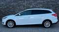 Ford Focus Wagon 1.0 Titanium NWE DISTRIBUTIE|Apple Carplay|3 Blanc - thumbnail 8