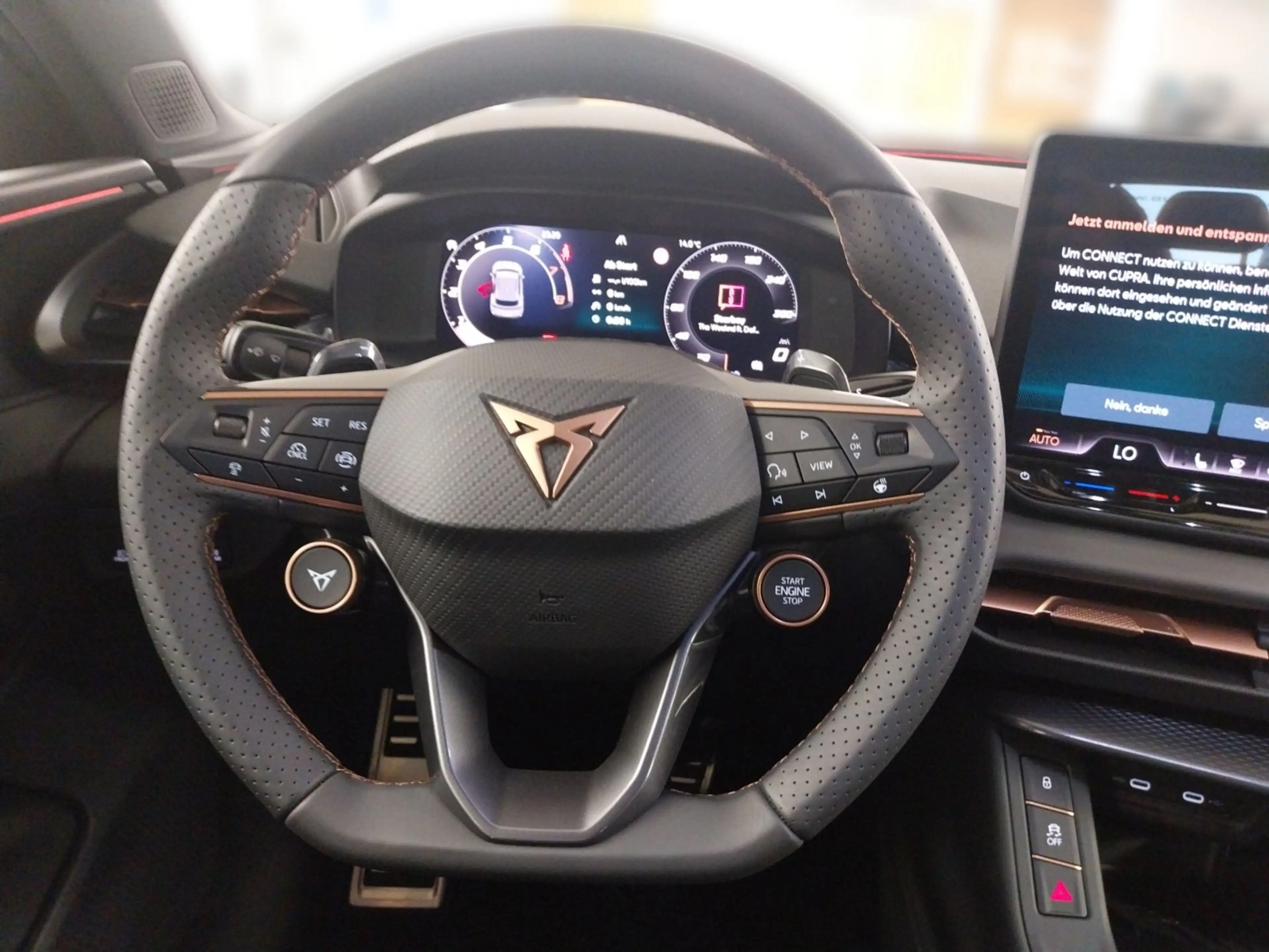 CUPRA Terramar VZ 2.0 TSI 7-Gang DSG 4Drive Akebono 6-Kolben-High — photo 12