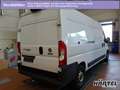 Fiat Ducato MAXI KASTEN 35 L4H2 140 MULTIJET (+EURO6) - thumbnail 3