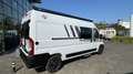 Carado Camper Van CV 600 Weiß - thumbnail 4