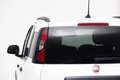 Fiat Panda 4x2 FireFly Hybrid 70 Pandina Weiß - thumbnail 3