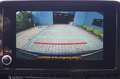 Toyota C-HR C-HR Hybrid Business-Edition Gris - thumbnail 14