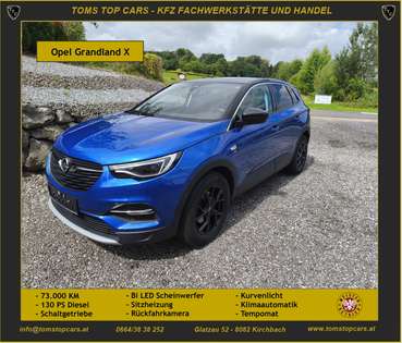 Opel Grandland X Rückfahrkamera, Sitzheizung, wenig KM