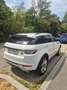 Land Rover Range Rover Evoque Prestige 2,2 TD4 Aut. - thumbnail 5