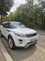 Land Rover Range Rover Evoque Prestige 2,2 TD4 Aut. - thumbnail 2