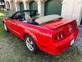 Ford Mustang GT V8 Cabriolet Rot - thumbnail 11