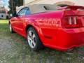 Ford Mustang GT V8 Cabriolet Rot - thumbnail 3