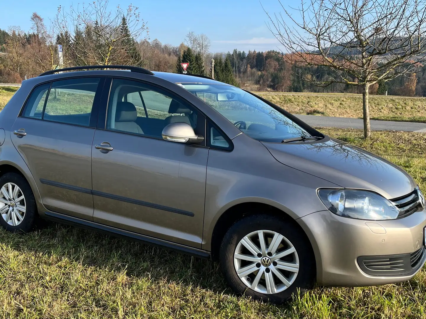 Volkswagen Golf Plus Golf Plus Trendline 1,6 TDI DPF Trendline Braun - 1