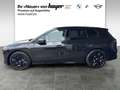BMW iX xDrive40 Sportpaket Head-Up HK HiFi DAB LED Schwarz - thumbnail 3